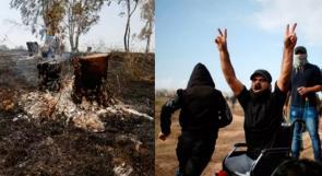 الإسرائيليون يفرحون لقتل فلسطيني على كرسي متحرك.. ويتأسفون على حرق شجرة