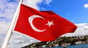 تركيا والحالة الوظيفية في المنطقة