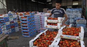 فلسطين مستعدة لتوريد الفواكه والخضار إلى السوق الروسية