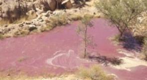 العثور على "بحيرة خمور" بالسعودية