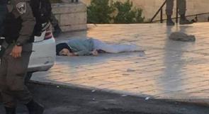 بيتسيلم: جنود الاحتلال قتلوا الشهيدة حجيجي دون ان تشكل خطرا