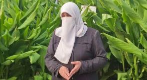 فاطمة وهيلين أول من زرع الكركم في فلسطين
