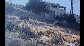 فيديو | مستوطنون يهاجمون بيت المواطن عبد الكريم الجعبري في حارة جابر بالخليل