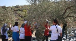 الإغاثة الزراعية تناشد المتطوعين للانخراط في "حملة احنا معكم 2019" في محافظات الضفة الغربية