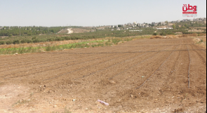 شحّ المياه يخنق الزراعة في بيت لقيا..
