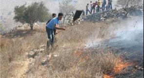 مستوطنون يحرقون محاصيل زراعية شرق يطا