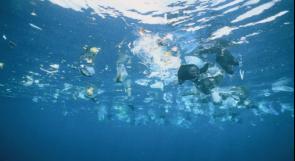 صنع روبوتات لجمع دقائق البلاستيك في المحيطات