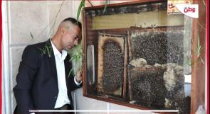 لمتابعة سلوكه عن كثب.. الوراسنة يربي النحل في صندوق زجاجي داخل بيته