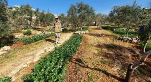 "كل الأرض صالحة للزراعة" قصة "أبو محمد" قد تلهم خبراء التنمية