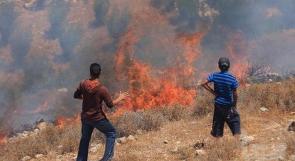 مستوطنو يحرقون محاصيل زراعية شرق يطا