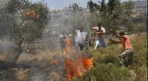 قريوت: مستوطنون يحرقون أراض زراعية ويمنعون إخمادها