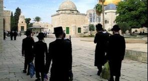 مستوطنون يستأنفون اقتحام الأقصى في اليوم الأخير لعيد 'العرش'