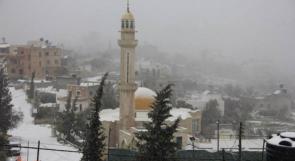 الثلوج لن تتساقط على فلسطين هذا الأسبوع