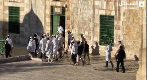 عشرات المستوطنين يقتحمون المسجد الاقصى احتفالا بما يسمى "عيد الغفران"