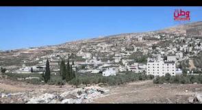 موسم الزيتون في بورين.. ذاكرةٌ عمرها عقود وقيودٌ تهدد القطاف