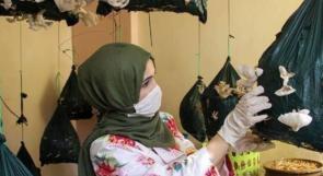 آلاء.. زراعة الفطر طوق النجاة من البطالة حتى في زمن الكورونا