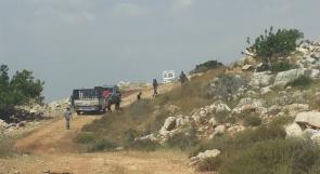 بالصور..جرافات الاحتلال تقتلع 30 شجرة زيتون وتطلق الغاز على المزارعين في بديا