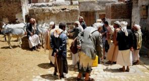 اليمن: مقتل 'حمار' يتسبب بمقتل 8 اشخاص