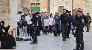 الاحتلال يحوّل باحات الأقصى إلى ثكنة عسكرية وعشرات المستوطنين يقتحمون المسجد