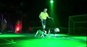بالفيديو: كلاسيكو بين 'كلاب' ريال مدريد وبرشلونة!