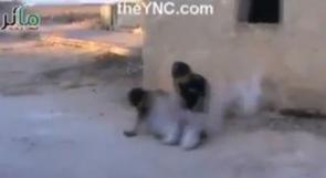 بالفيديو ... إعدام طفلين من قبل مسلحي دولة 'العراق والشام الاسلامية'