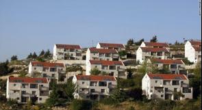 الشرطة الإسرائيلية: (الوطن) تزوّر وثائق شراء أراضي المستوطنات