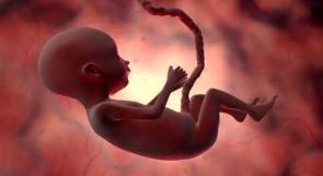 اجراءات وقاية الحوامل ضد فايروس كورونا