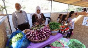 مهرجان الباذنجان متنفّس للمزارعين في قرية "بتير"