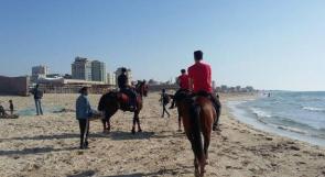 خاص لـ"وطن": بالفيديو.. غزة: الفروسية من النوادي إلى الشواطئ