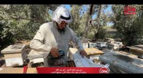 من بين خلايا النحل.. أبو عبد الله يحاول أن يعيد بناء حياته التي دمرتها الحرب