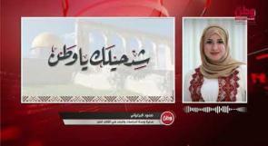 في اليوم العالمي للحق في الحصول على المعلومات.. ائتلاف أمان لـوطن: لا نريد العودة إلى نقطة الصفر