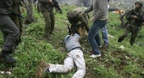 بالصور..قوات الاحتلال تطلق كلابها للاعتداء على الفلسطينيين