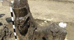 مصر: العثور على رؤوس خمسة تماثيل لملوك فراعنة