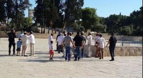 عشرات المستوطنين يتجمعون عند باب المغاربة في ذكرى احتلال القدس
