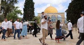مئات المستوطنين يقتحمون الأقصى في ثاني أيام "الفصح" اليهودي