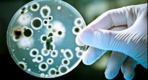 الميكروبات المقاومة لمضادات الحيوية.. تهديد خطير يحدق بصحة الانسان