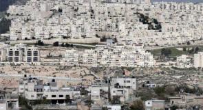 مستوطنون يرشقون منازل المواطنين شرق الخليل بالحجارة
