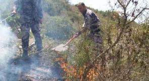 حريق يطال 250 شجرة زيتون على طريق قفين - يعبد شمال طولكرم