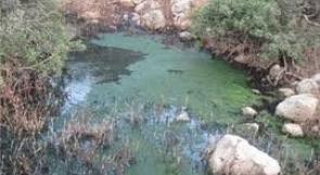 خبير بيئي يطالب الهيئات الدولية المتخصصة التدخل لحماية البيئة الفلسطينية