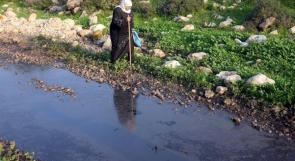 إصابة عدد من المواطنين بحالات تلوث من مياه مستوطنة "كتسيير" غرب جنين