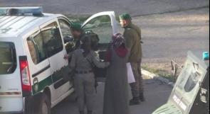 الاحتلال يعتقل فتاة ويبعد شابا عن القدس لمدة 5 شهور