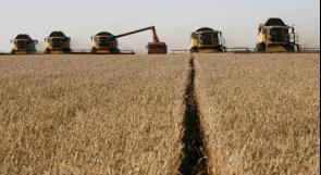 أمريكا تخسر "حرب القمح" مع روسيا