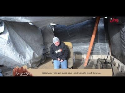 بين مرارة النزوح والمرض النادر.. شهد تناشد عبر وطن بمساعدتها بين مرارة النزوح والمرض النادر.. شهد تناشد عبر وطن بمساعدتها