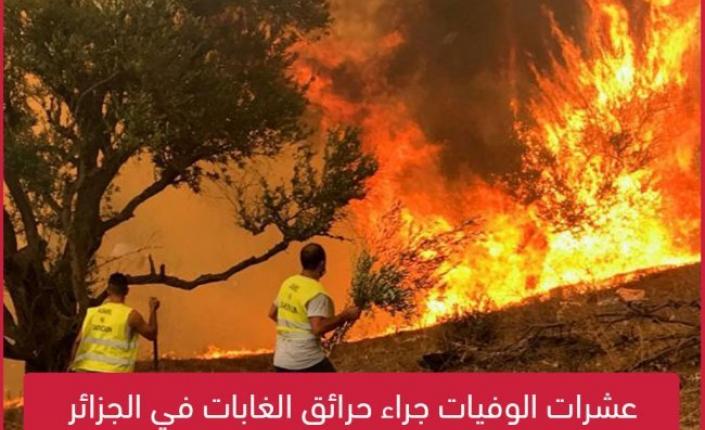 عشرات الوفيات جراء حرائق الغابات في الجزائر