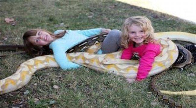 بالفيديو: أمريكي يعيش مع الثعابين الضخمة ويسمح لأطفاله باللعب معها
