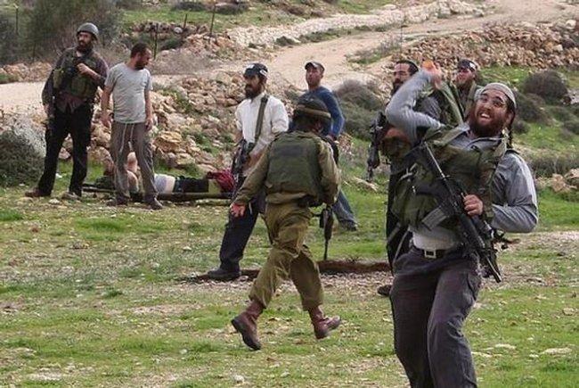 مستوطنون يقتحمون فرعتا في قلقيلية مستوطنون يقتحمون فرعتا في قلقيلية