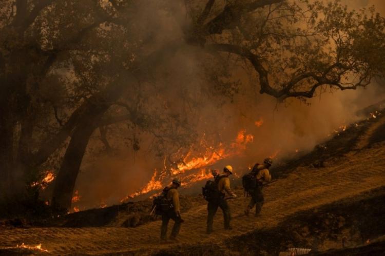إخماد الحريق الأخطر في غابات كاليفورنيا منذ بداية العام