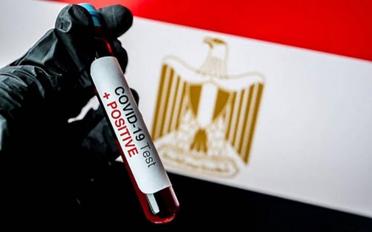 مصر تسجل 1412 إصابة جديدة بكورونا و81 وفاة