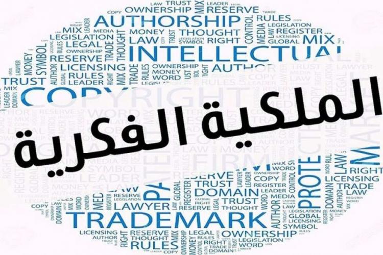الوزير أبو سيف: طرح قانون حقوق المؤلف هو حماية وتعزيز للبنية التحتية الثقافية‎