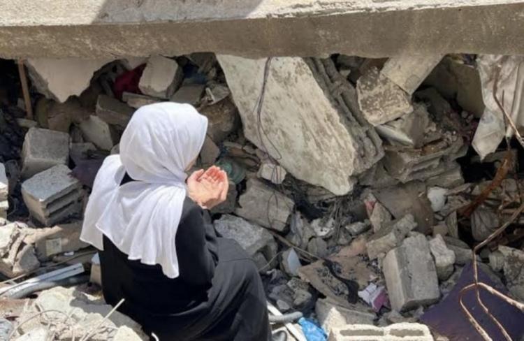 المركز الفلسطيني للمفقودين: أكثر من 7 آلاف مفقود في غزة المركز الفلسطيني للمفقودين: أكثر من 7 آلاف مفقود في غزة